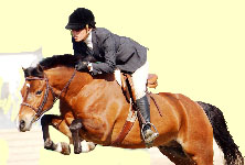 welsh pony jumping